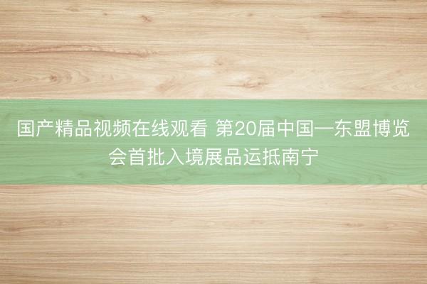 国产精品视频在线观看 第20届中国—东盟博览会首批入境展品运抵南宁
