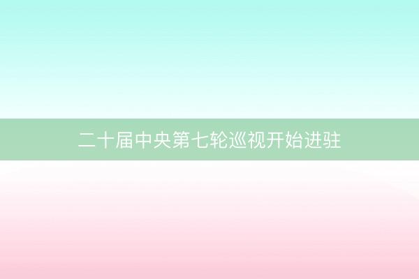 二十届中央第七轮巡视开始进驻