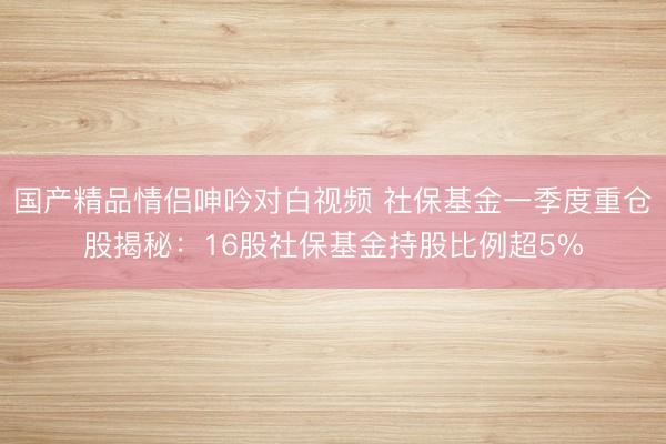 国产精品情侣呻吟对白视频 社保基金一季度重仓股揭秘：16股社保基金持股比例超5%