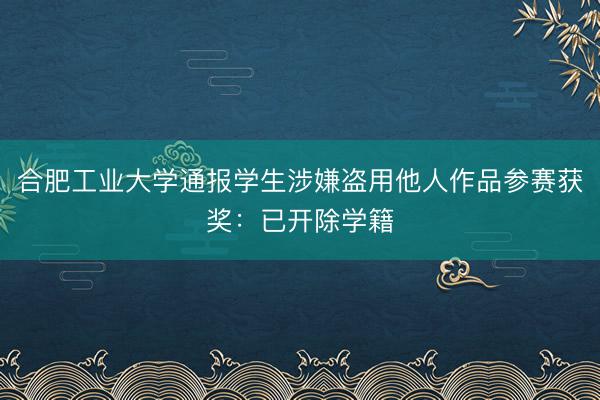 合肥工业大学通报学生涉嫌盗用他人作品参赛获奖：已开除学籍