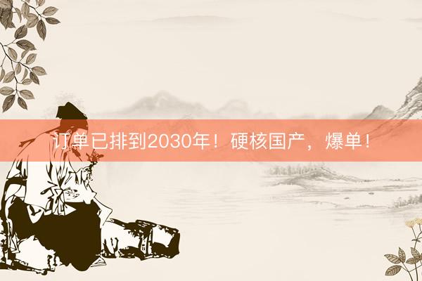 订单已排到2030年！硬核国产，爆单！