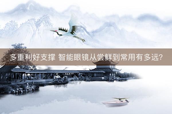 多重利好支撑 智能眼镜从尝鲜到常用有多远？