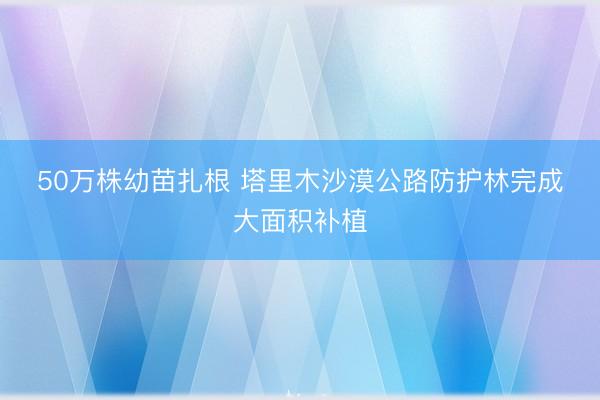 50万株幼苗扎根 塔里木沙漠公路防护林完成大面积补植