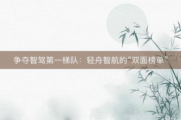 争夺智驾第一梯队：轻舟智航的“双面榜单”