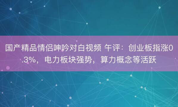 国产精品情侣呻吟对白视频 午评：创业板指涨0.3%，电力板块强势，算力概念等活跃
