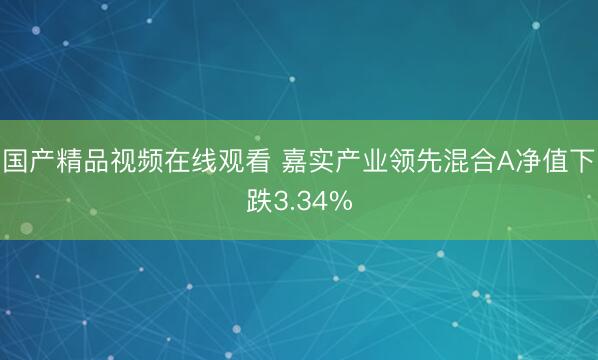 国产精品视频在线观看 嘉实产业领先混合A净值下跌3.34%