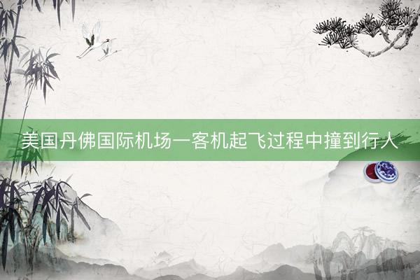 美国丹佛国际机场一客机起飞过程中撞到行人