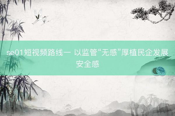 se01短视频路线一 以监管“无感”厚植民企发展安全感