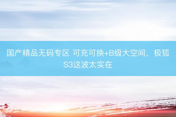 国产精品无码专区 可充可换+B级大空间，极狐S3这波太实在