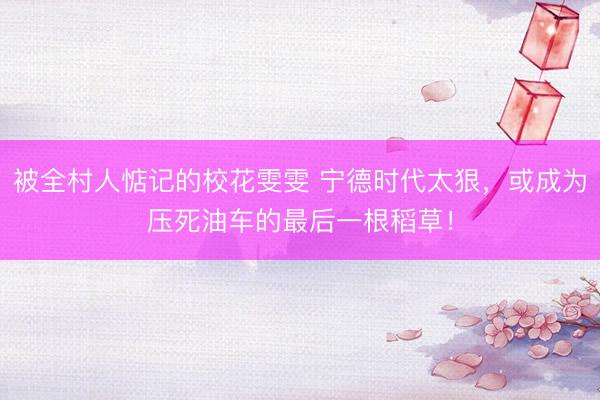 被全村人惦记的校花雯雯 宁德时代太狠，或成为压死油车的最后一根稻草！