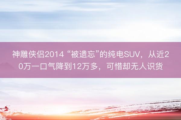 神雕侠侣2014 “被遗忘”的纯电SUV，从近20万一口气降到12万多，可惜却无人识货