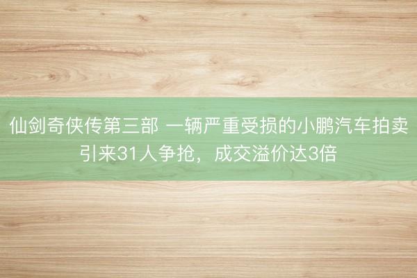 仙剑奇侠传第三部 一辆严重受损的小鹏汽车拍卖引来31人争抢，成交溢价达3倍
