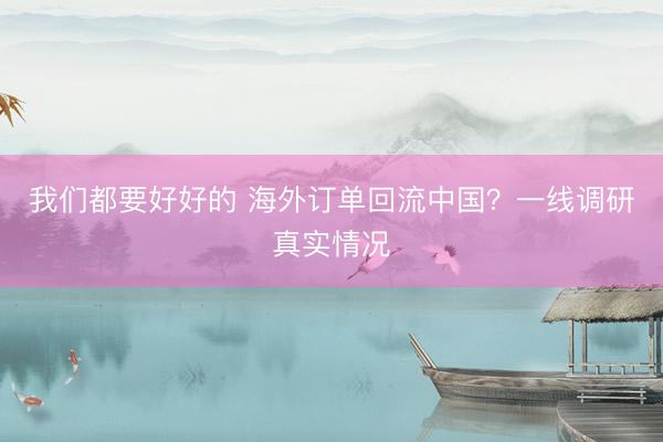 我们都要好好的 海外订单回流中国？一线调研真实情况