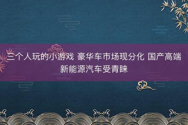 三个人玩的小游戏 豪华车市场现分化 国产高端新能源汽车受青睐