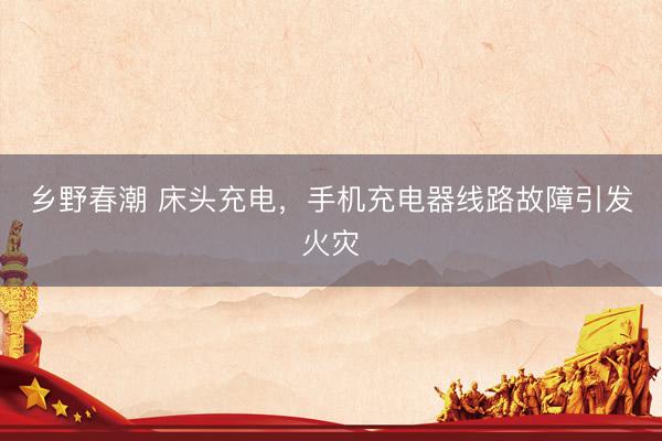 乡野春潮 床头充电,手机充电器线路故障引发火灾