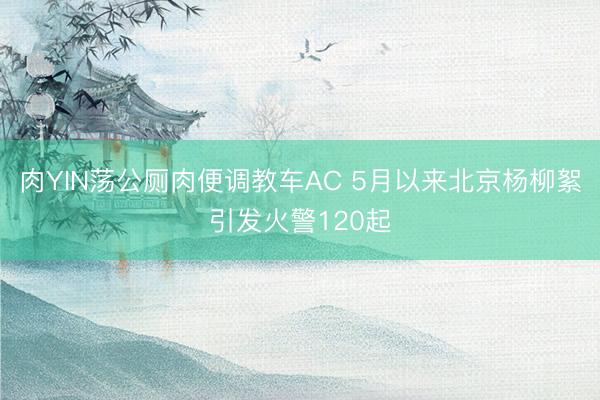 肉YIN荡公厕肉便调教车AC 5月以来北京杨柳絮引发火警120起