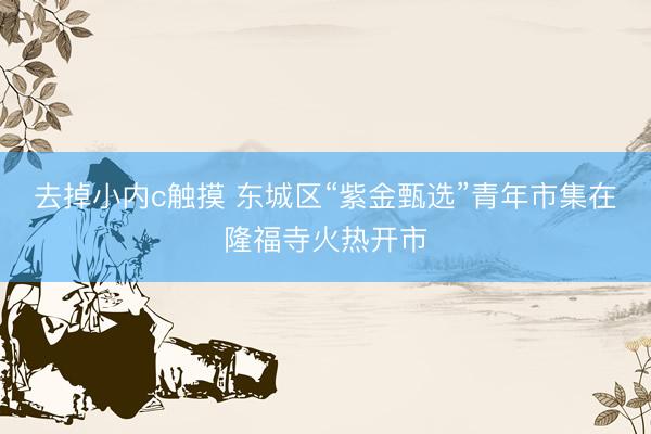 去掉小内c触摸 东城区“紫金甄选”青年市集在隆福寺火热开市