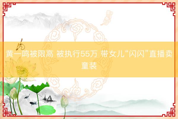 黄一鸣被限高 被执行55万 带女儿“闪闪”直播卖童装