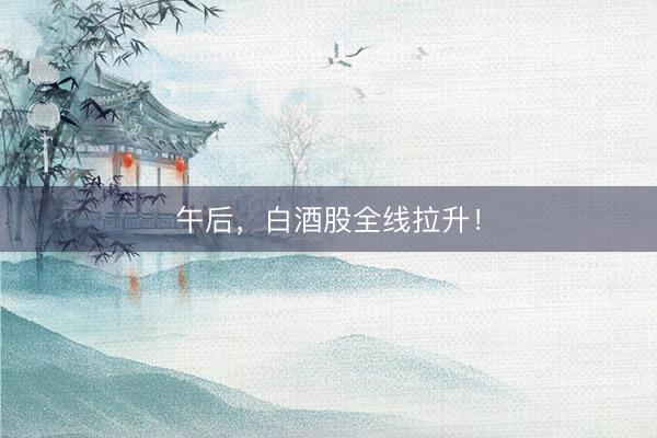 午后，白酒股全线拉升！