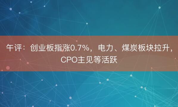 午评:创业板指涨0.7%,电力、煤炭板块拉升,CPO主见等活跃