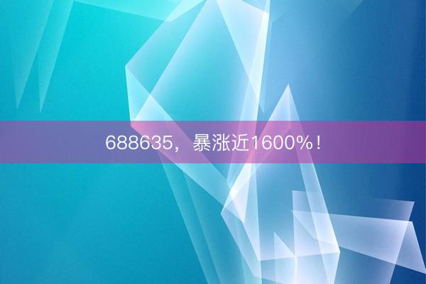 688635,暴涨近1600%!
