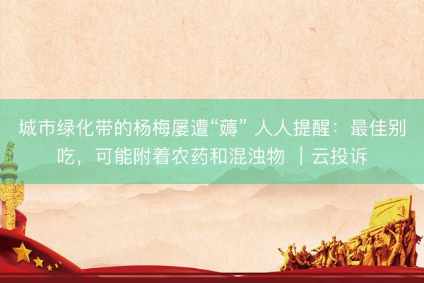 城市绿化带的杨梅屡遭“薅” 人人提醒：最佳别吃，可能附着农药和混浊物 ｜云投诉