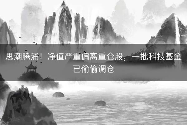 思潮腾涌！净值严重偏离重仓股，一批科技基金已偷偷调仓