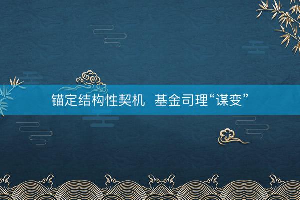 锚定结构性契机  基金司理“谋变”