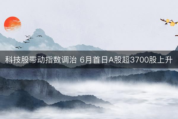 科技股带动指数调治 6月首日A股超3700股上升
