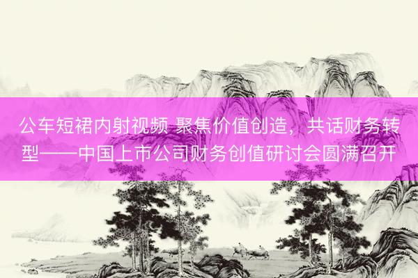 公车短裙内射视频 聚焦价值创造，共话财务转型——中国上市公司财务创值研讨会圆满召开