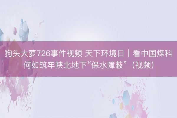 狗头大萝726事件视频 天下环境日｜看中国煤科何如筑牢陕北地下“保水障蔽”（视频）
