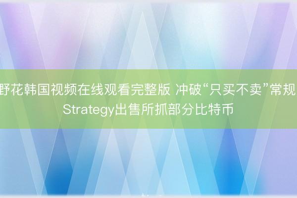 野花韩国视频在线观看完整版 冲破“只买不卖”常规 Strategy出售所抓部分比特币