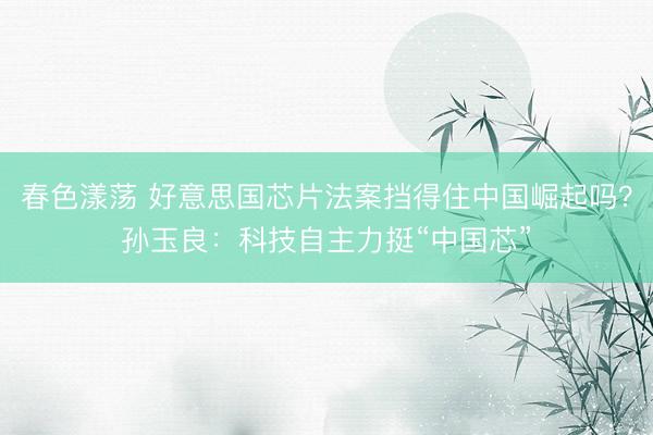 春色漾荡 好意思国芯片法案挡得住中国崛起吗？孙玉良：科技自主力挺“中国芯”