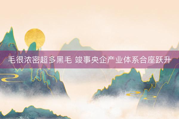 毛很浓密超多黑毛 竣事央企产业体系合座跃升