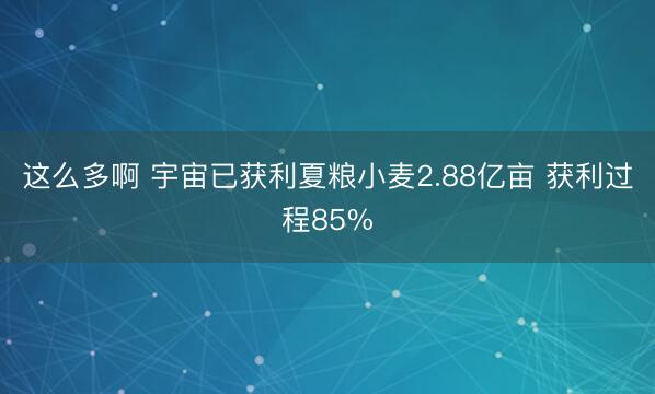 这么多啊 宇宙已获利夏粮小麦2.88亿亩 获利过程85%
