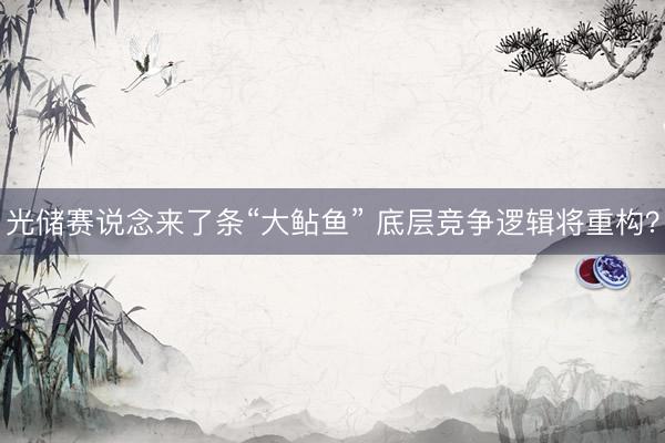 光储赛说念来了条“大鲇鱼” 底层竞争逻辑将重构？