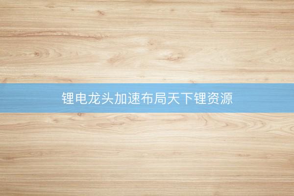 锂电龙头加速布局天下锂资源
