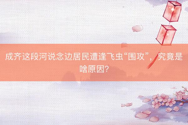 成齐这段河说念边居民遭逢飞虫“围攻”，究竟是啥原因？