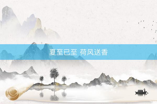 夏至已至 荷风送香