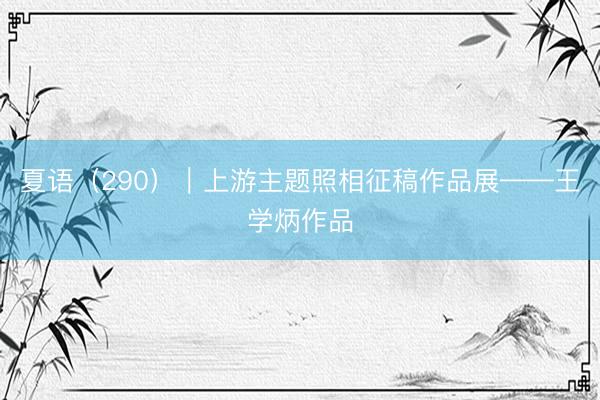 夏语（290）｜上游主题照相征稿作品展——王学炳作品