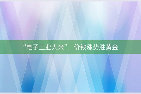 “电子工业大米”，价钱涨势胜黄金